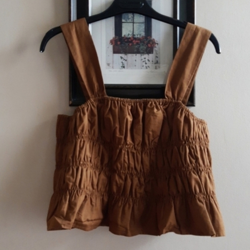Endless Rose Brown Smocked Crop Top